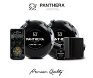 PANTHERA LEO CAN - ACTIVE SOUND 5.0 DUO